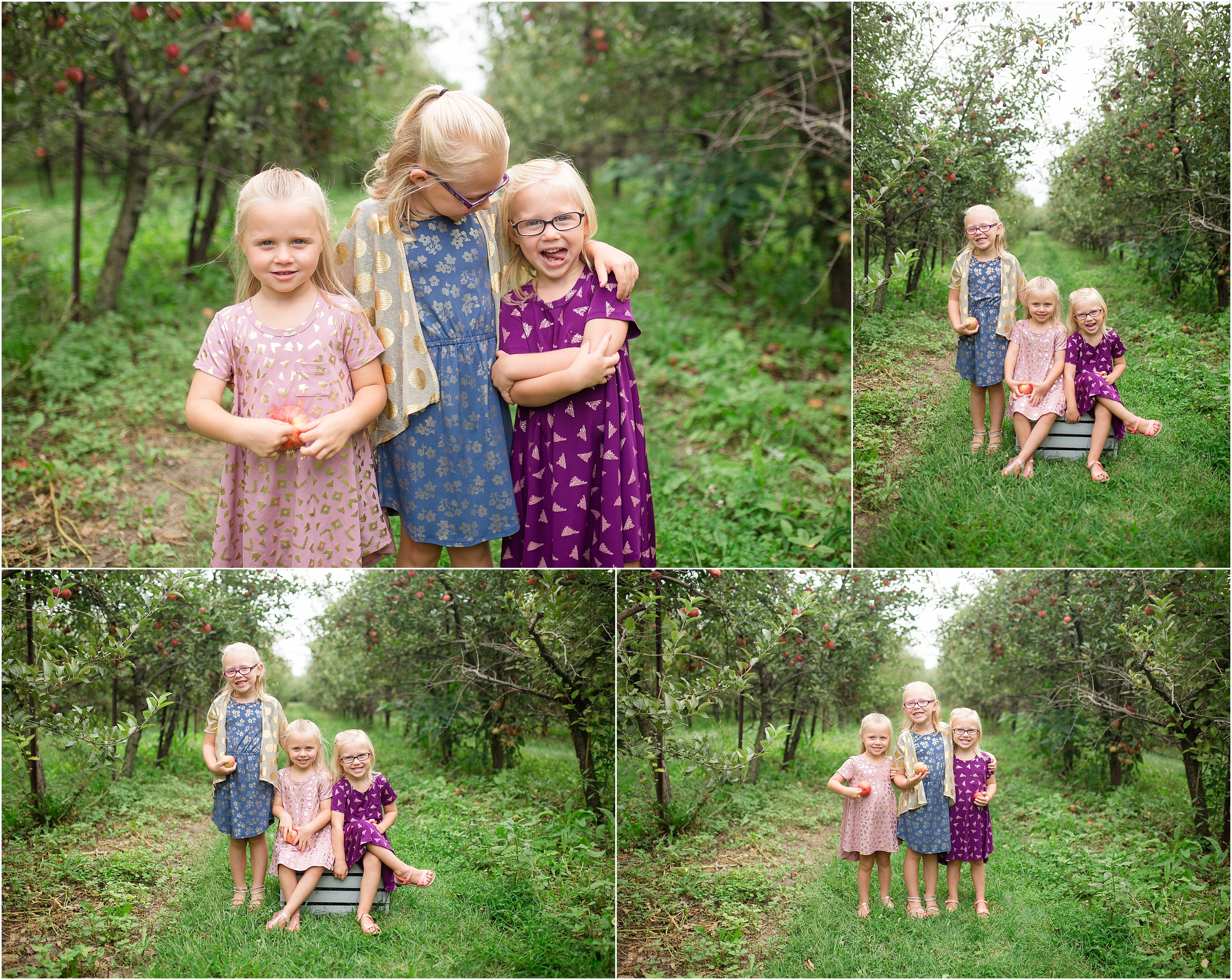 apple_orchard_children_fall_minisession_0001.jpg