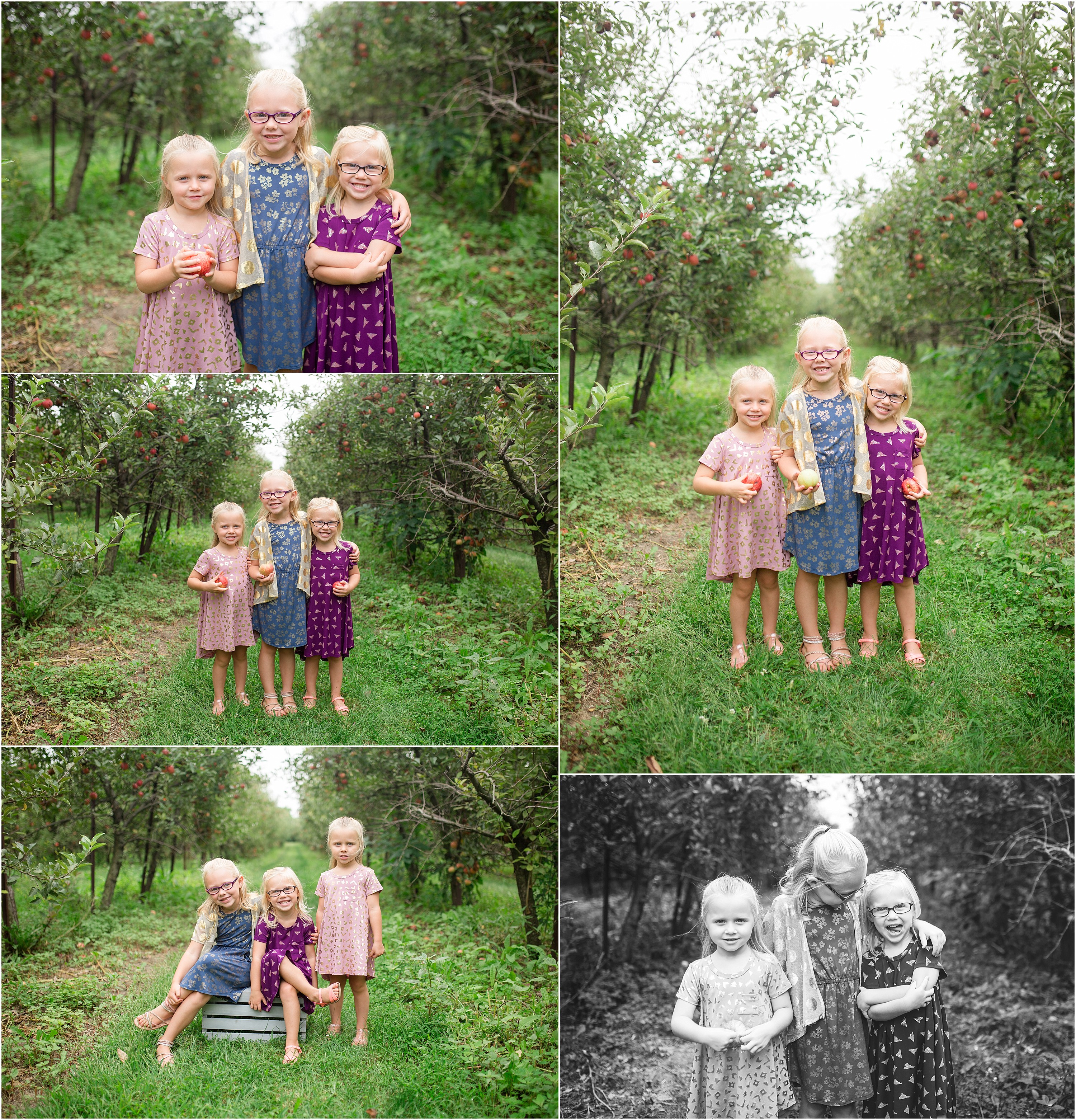 apple_orchard_children_fall_minisession_0002.jpg