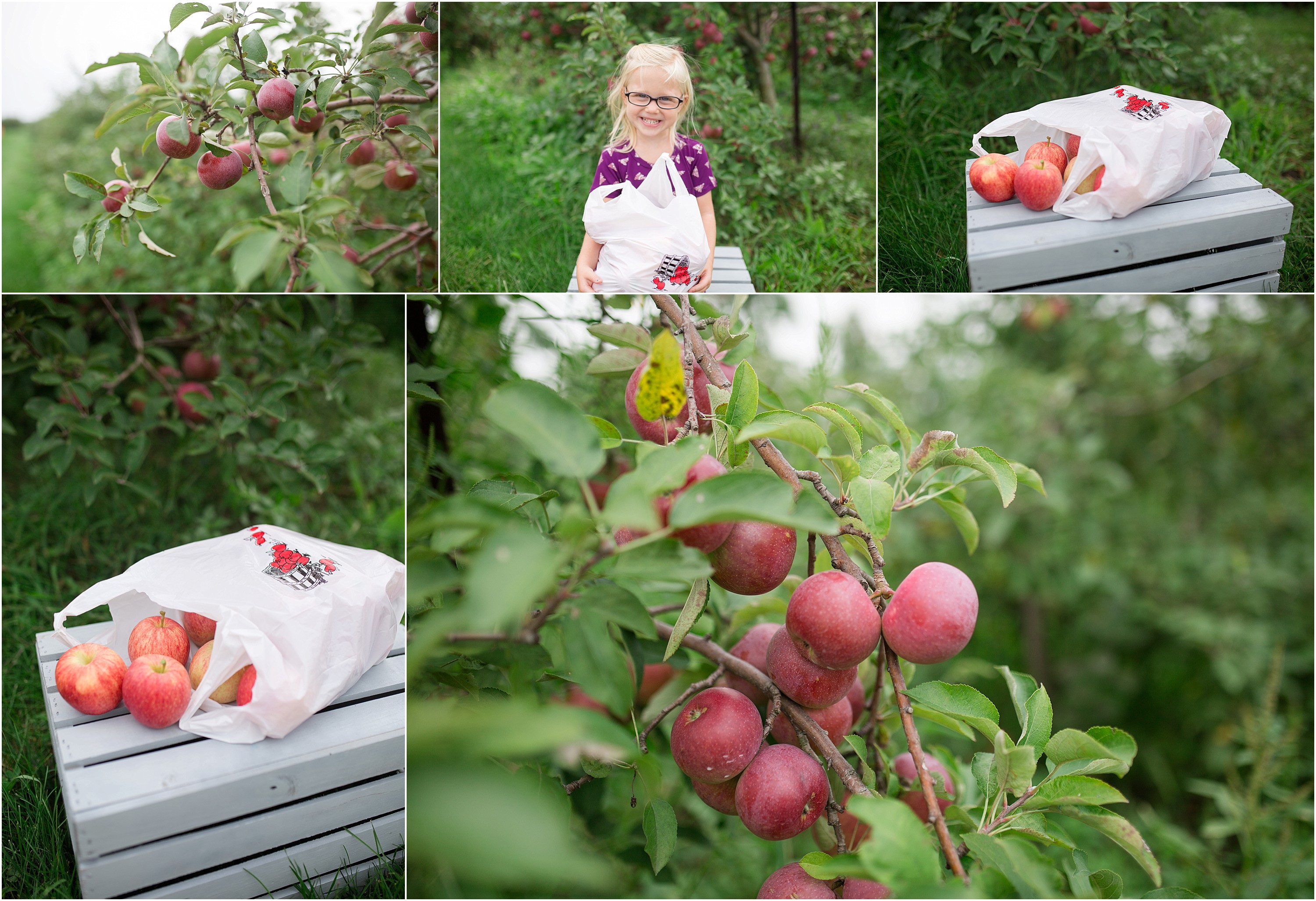 apple_orchard_children_fall_minisession_0008.jpg