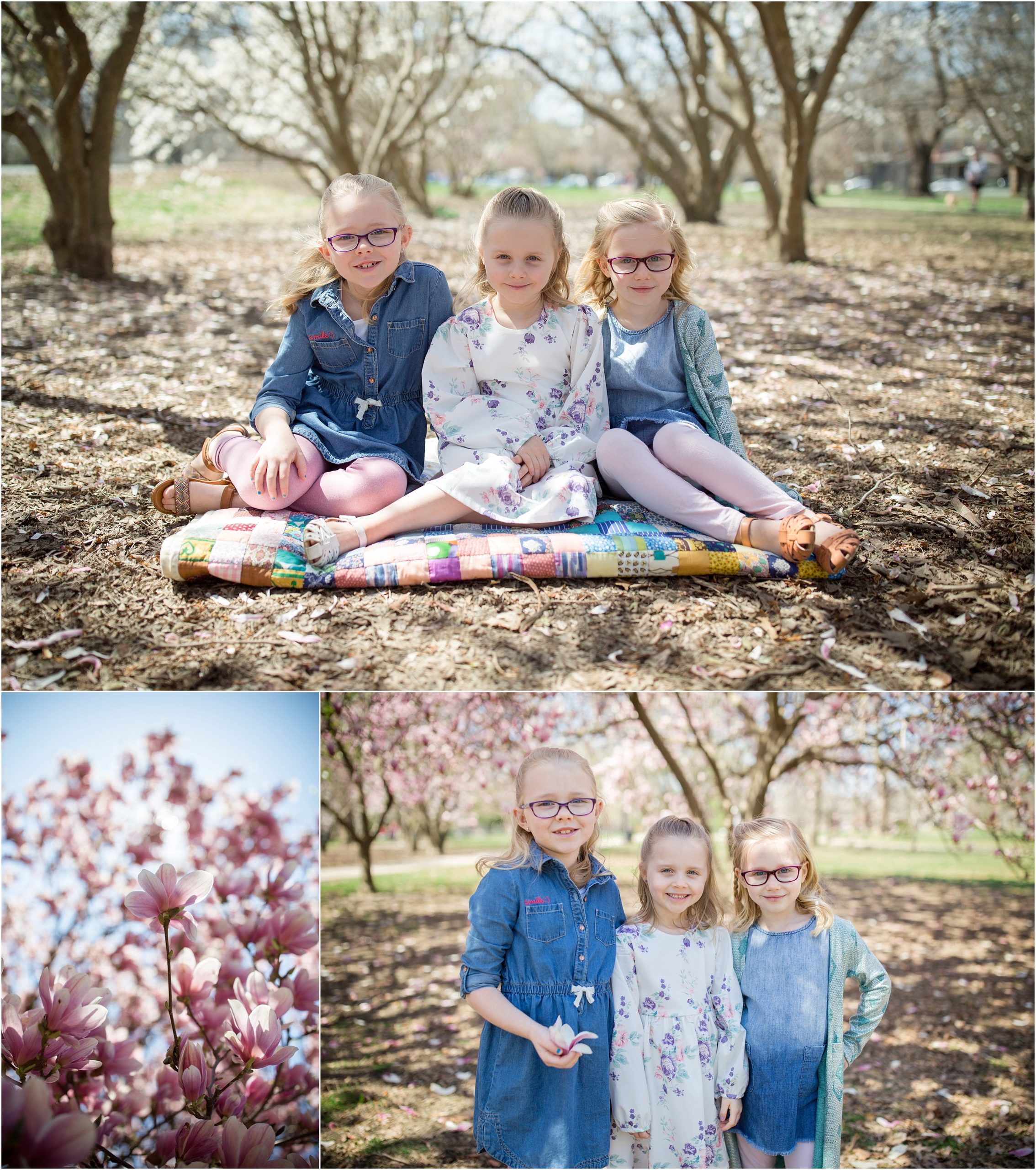 spring_pink_magnolia_sisters_0001.jpg
