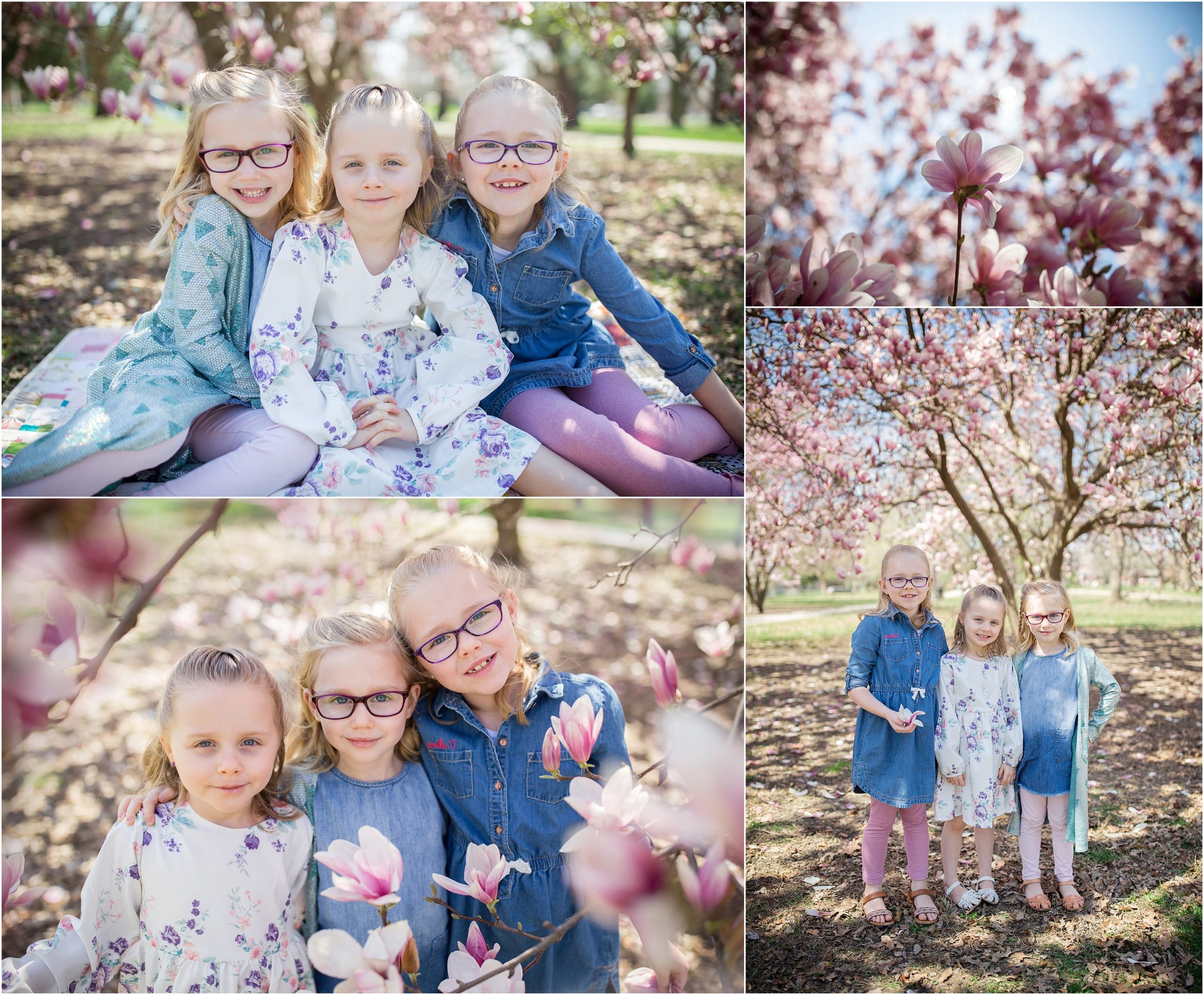 spring_pink_magnolia_sisters_0006.jpg