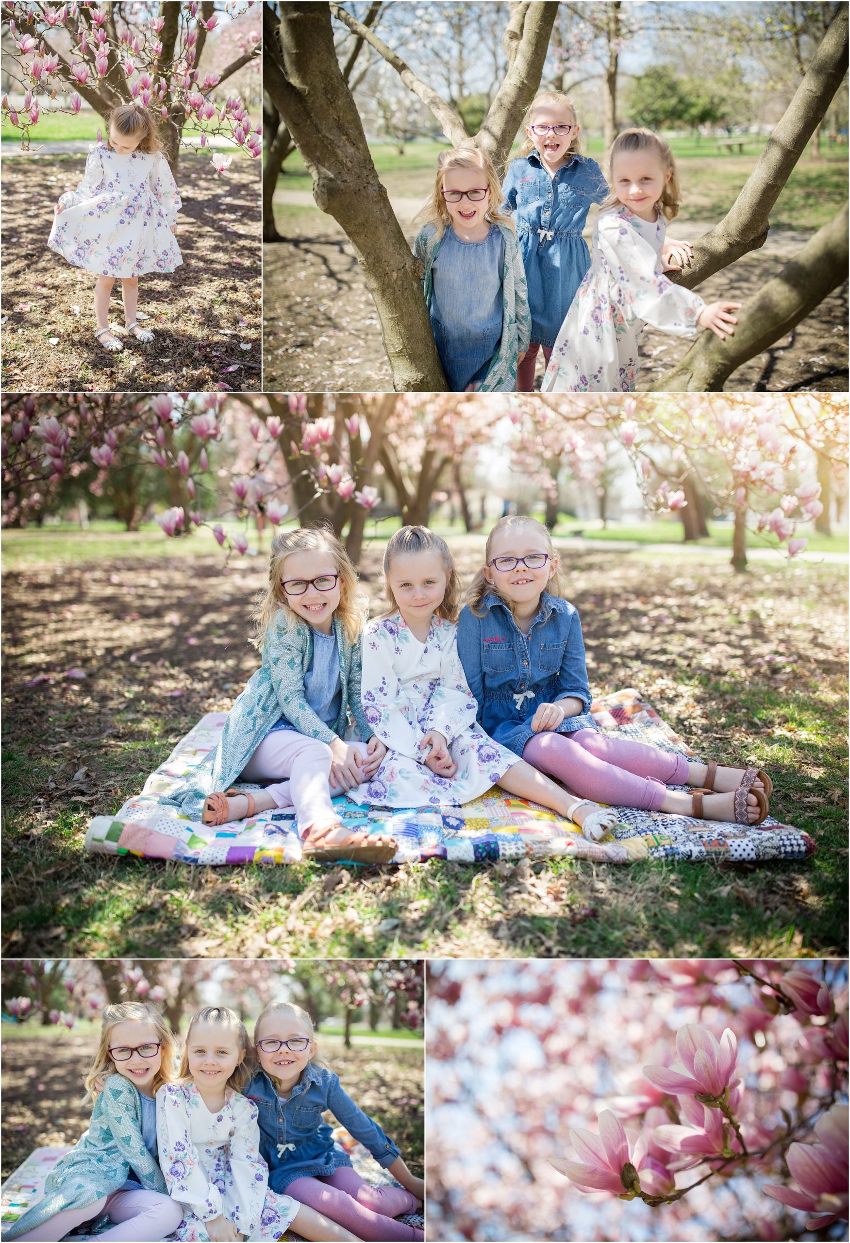 spring_pink_magnolia_sisters_0012.jpg