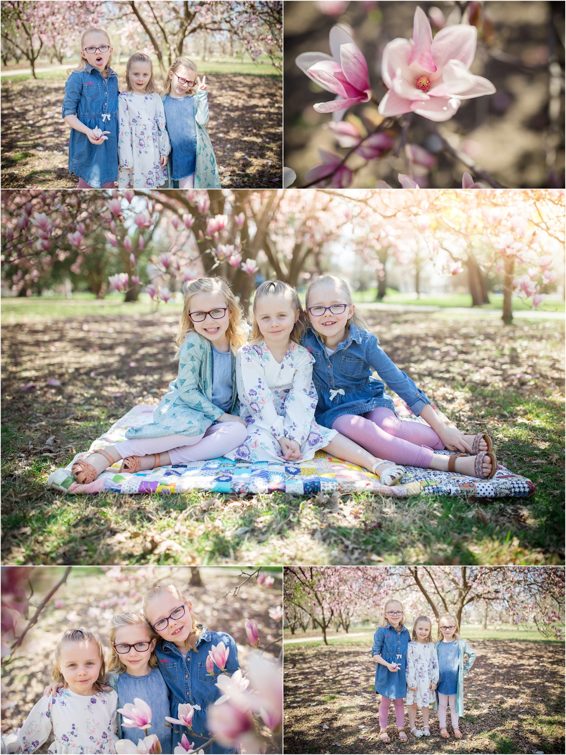 spring_pink_magnolia_sisters_0016.jpg