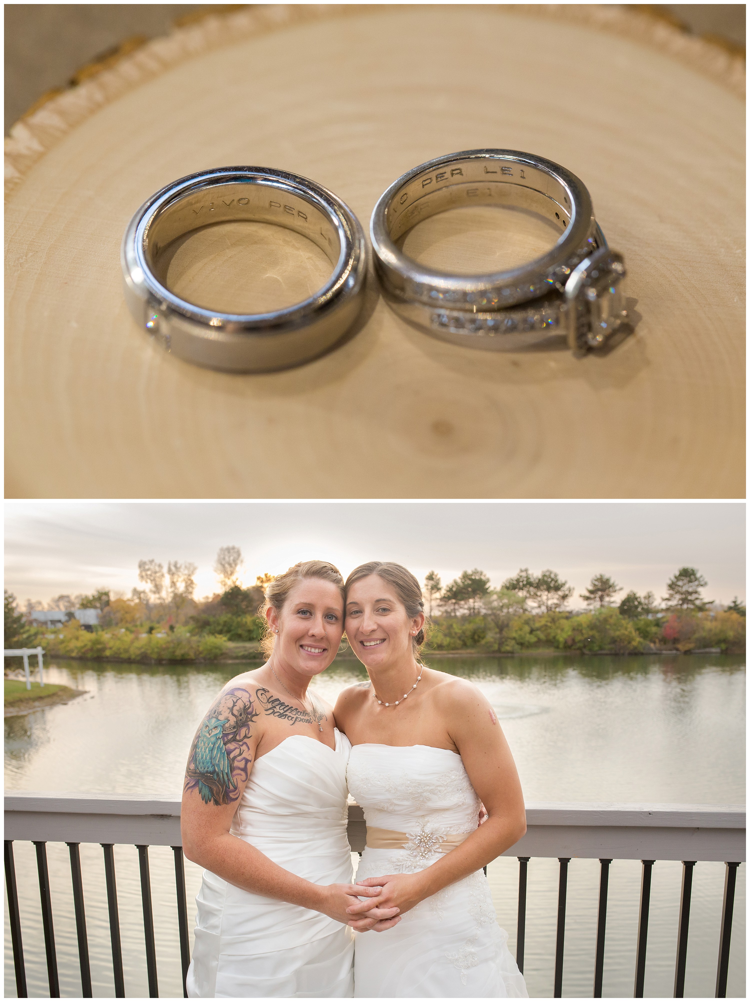 blog-barney_00010.jpg blog-barney_00010.jpg