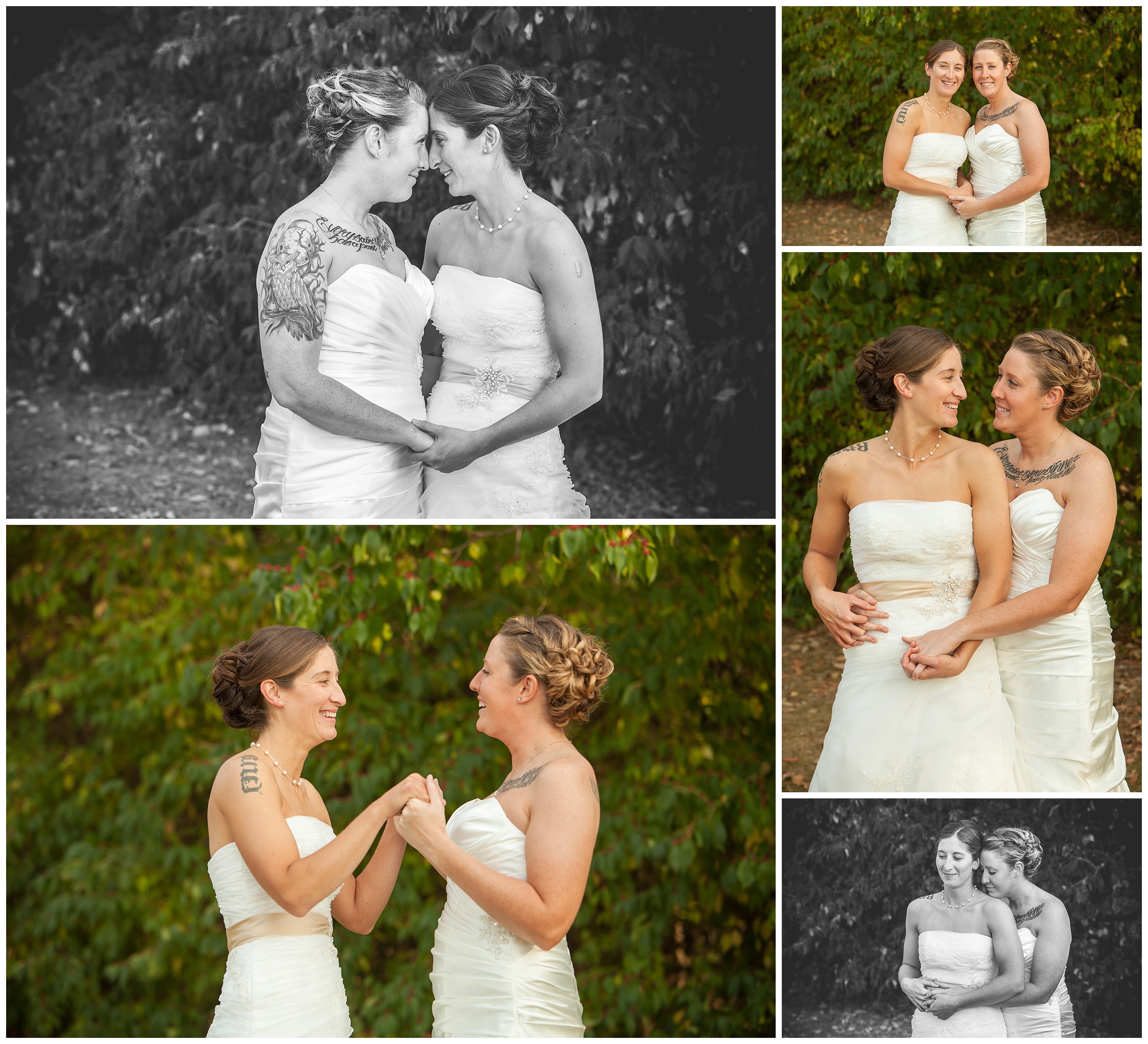 blog-barney_0004.jpg blog-barney_0004.jpg